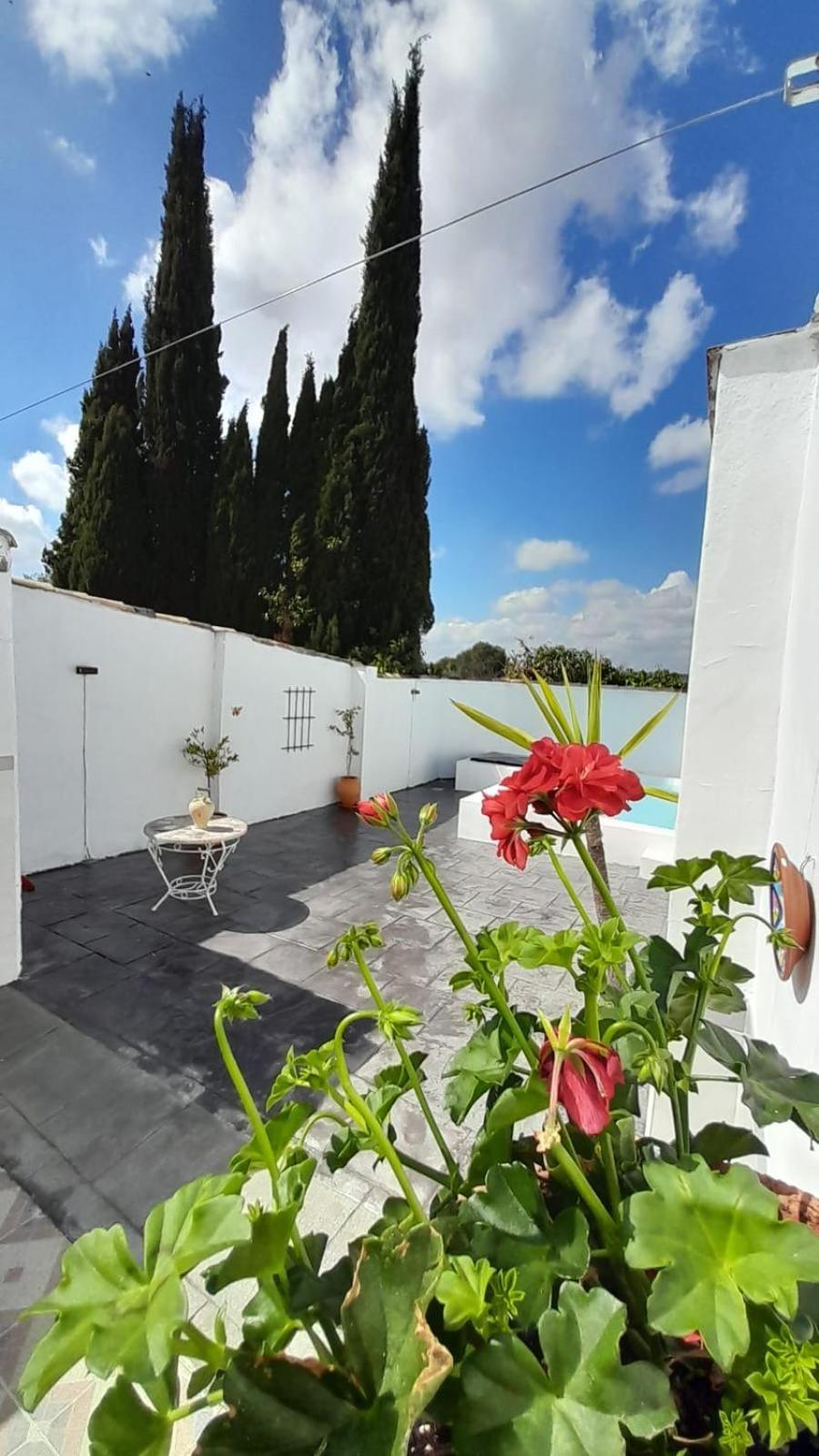 La Casilla Villa Montilla Eksteriør billede